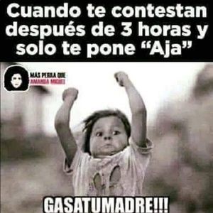 Meet your Posher, Ildefonso